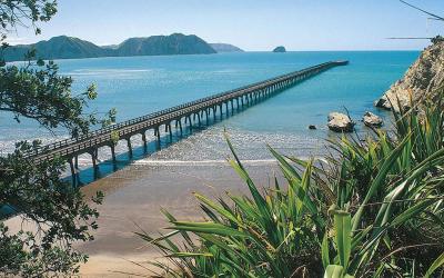 The longest wharf in New Zealand at Tologa Bay - MoaTours