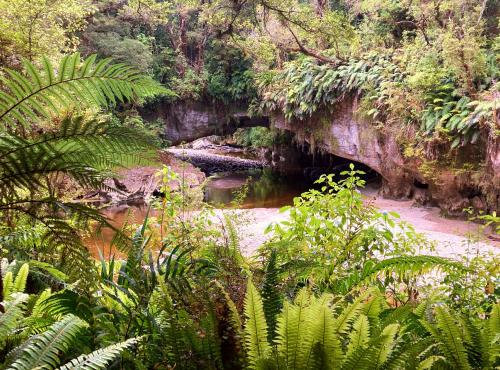 Opurara Basin Caves are a highlight on this tour