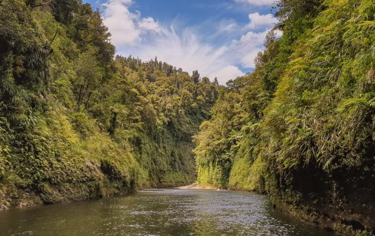 Views of the remote Whanganui River, New Zealand