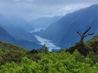 Doubtful Sound view from Wilmot Pass