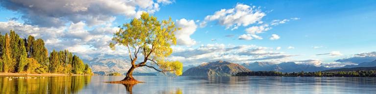 Autumn Travel in New Zealand - the famous Lake Wanaka tree and the Southern Alps
