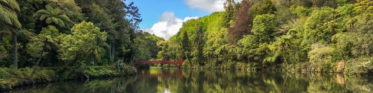 Reflections of the gardens at Pukekura Park