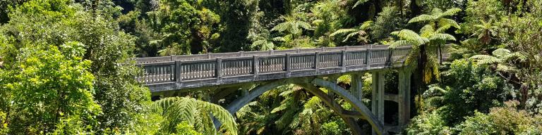 The Bridge to Nowhere on the Whanganui River
