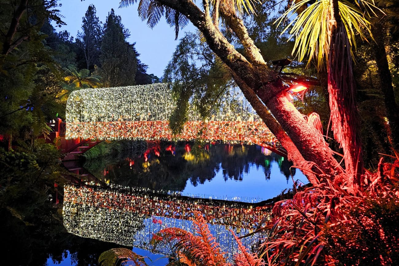 Poet's Bridge lit up at the Festival of Lights in Pukekura Park