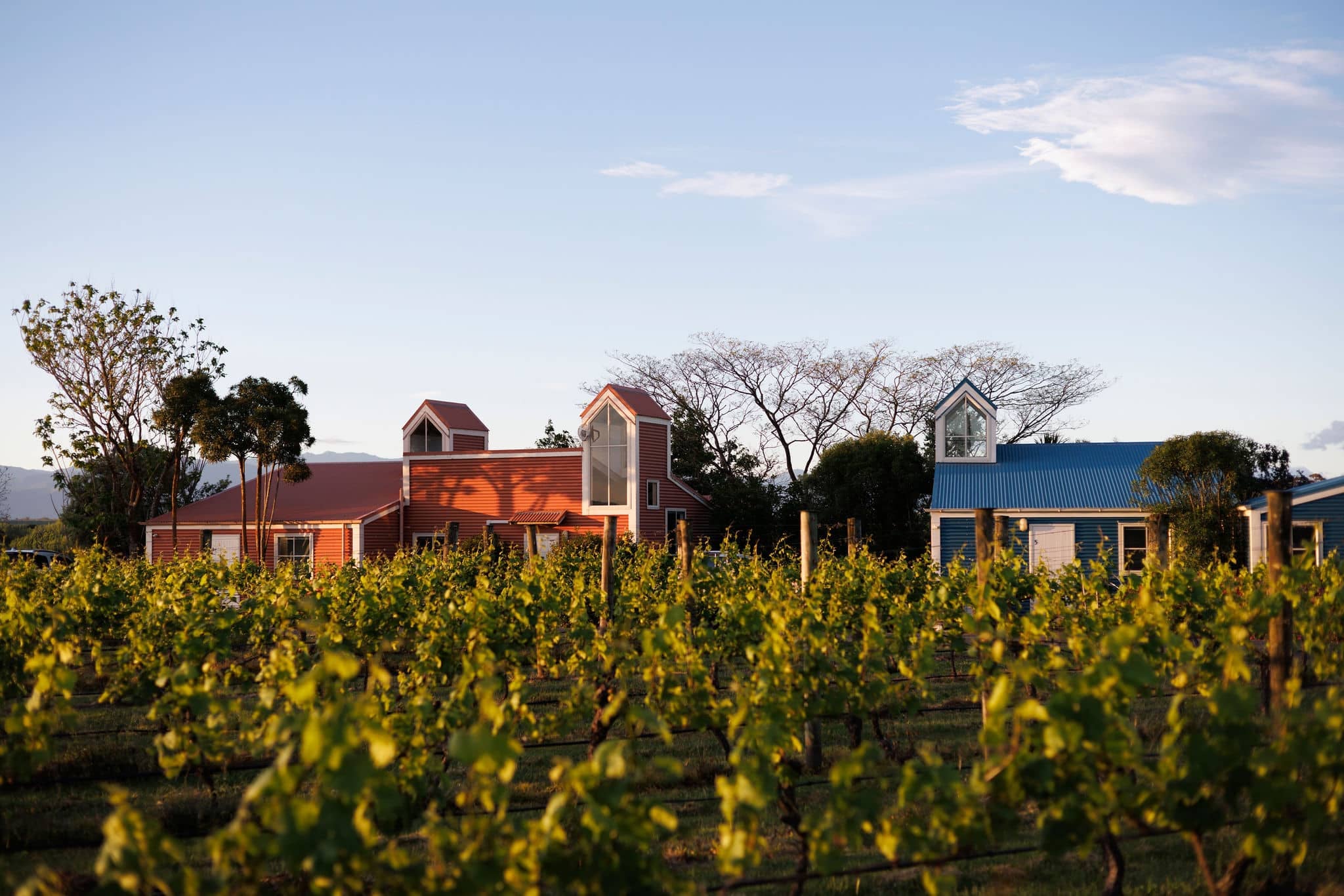 Margrain Vineyard Villas